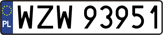WZW93951