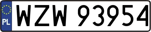WZW93954