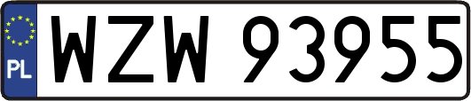 WZW93955