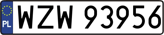 WZW93956