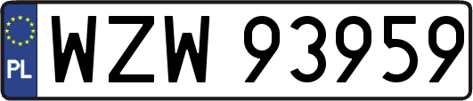 WZW93959