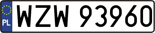 WZW93960