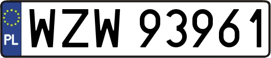 WZW93961