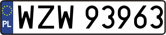WZW93963