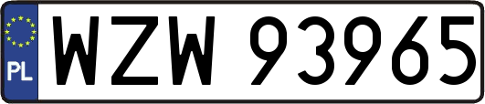 WZW93965