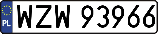 WZW93966