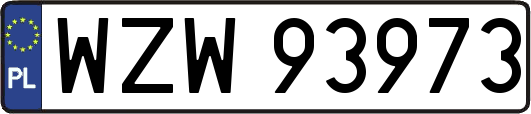 WZW93973