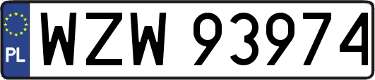 WZW93974