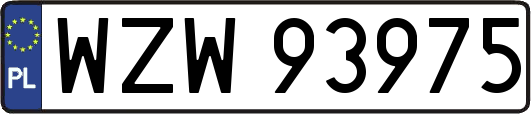 WZW93975