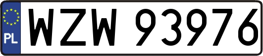 WZW93976