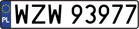 WZW93977