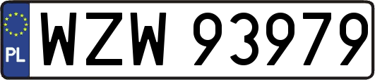 WZW93979