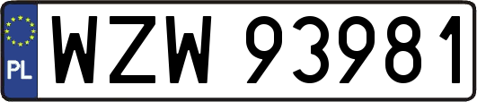 WZW93981