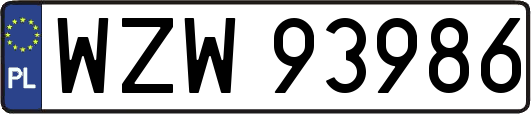 WZW93986