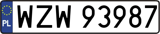 WZW93987