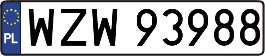 WZW93988