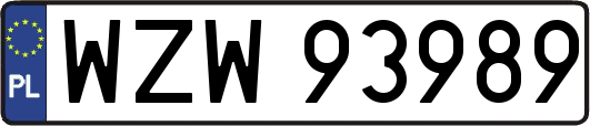 WZW93989
