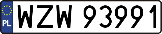 WZW93991