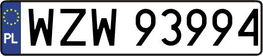 WZW93994