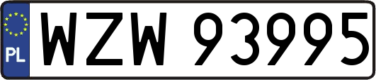 WZW93995