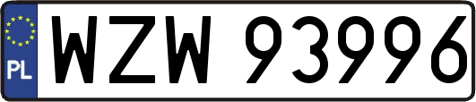 WZW93996