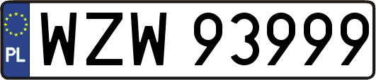WZW93999