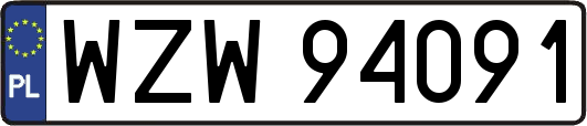 WZW94091