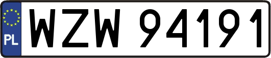 WZW94191