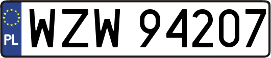 WZW94207