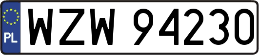 WZW94230