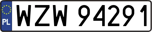 WZW94291