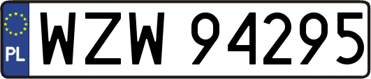 WZW94295