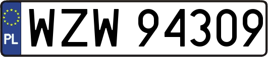 WZW94309