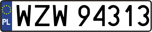 WZW94313