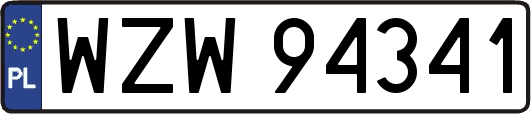 WZW94341