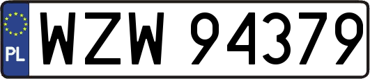 WZW94379