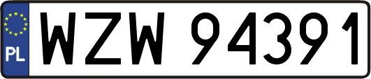 WZW94391