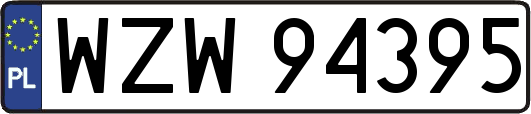WZW94395