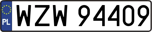 WZW94409