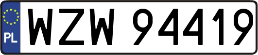 WZW94419