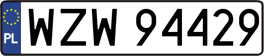 WZW94429