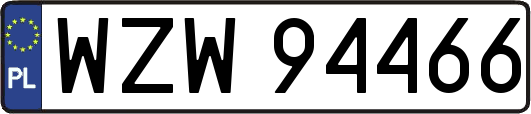 WZW94466