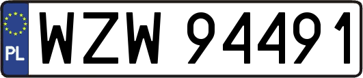 WZW94491