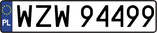WZW94499