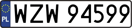 WZW94599