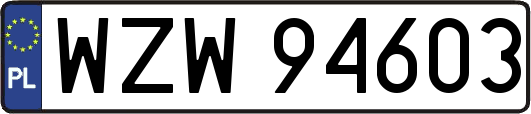 WZW94603