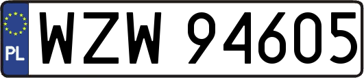 WZW94605