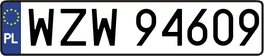 WZW94609