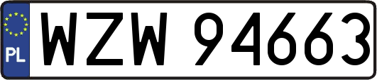 WZW94663
