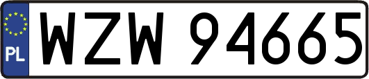 WZW94665